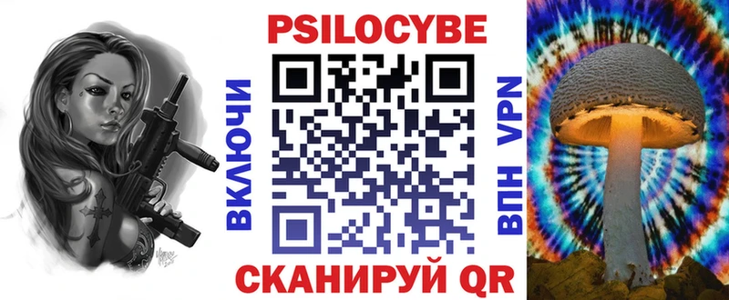 Псилоцибиновые грибы Psilocybe  Унеча 
