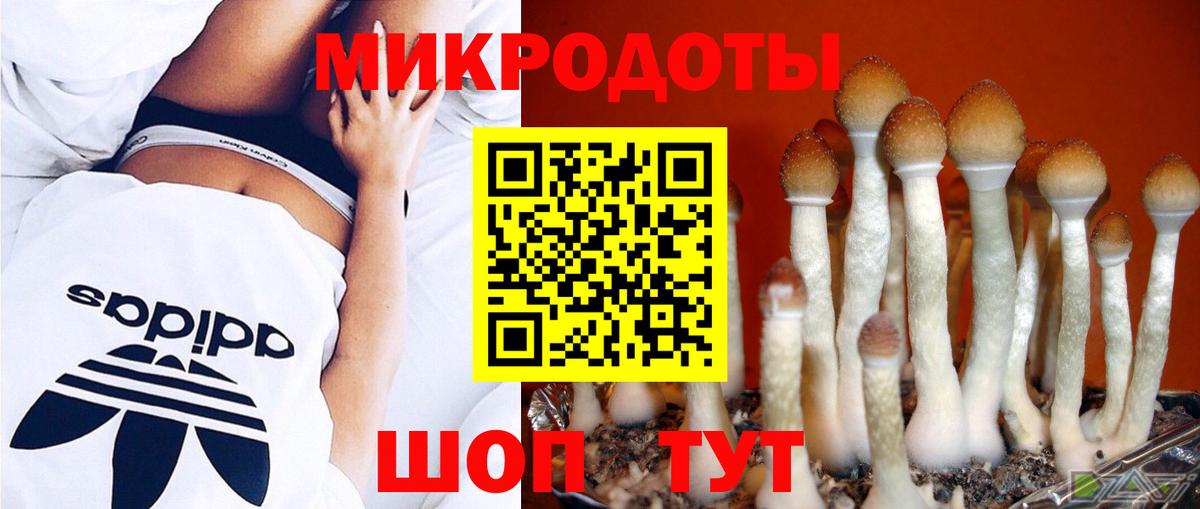 Галлюциногенные грибы прущие грибы  Вход с VPN  Псилоцибиновые грибы прущие грибы  Унеча 